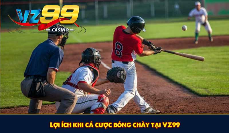 Lợi ích khi cá cược bóng chày tại VZ99